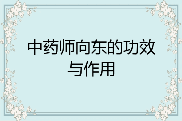 中药师向东的功效与作用