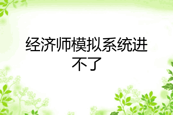 经济师模拟系统进不了