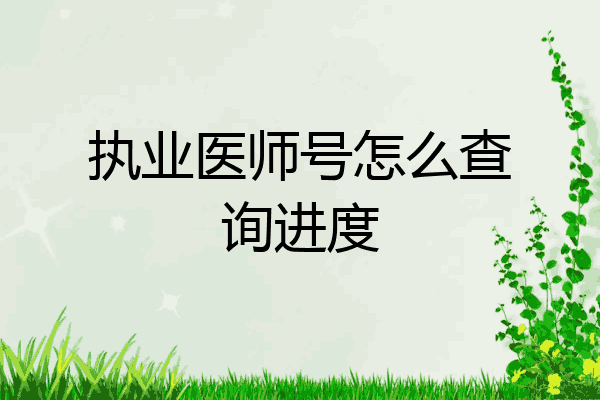 执业医师号怎么查询进度