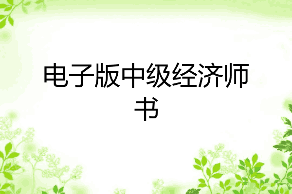 电子版中级经济师书