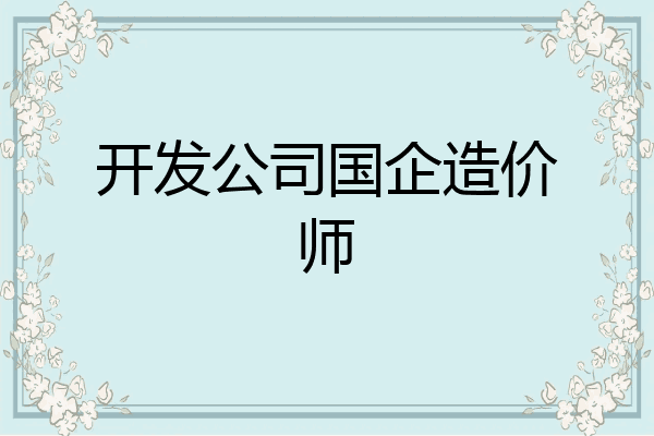 开发公司国企造价师