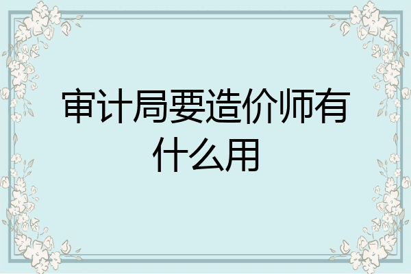 审计局要造价师有什么用
