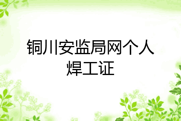 铜川安监局网个人焊工证