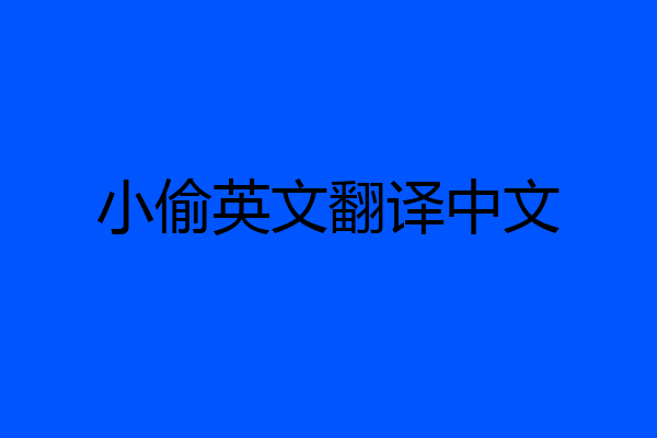 小偷英文翻译中文