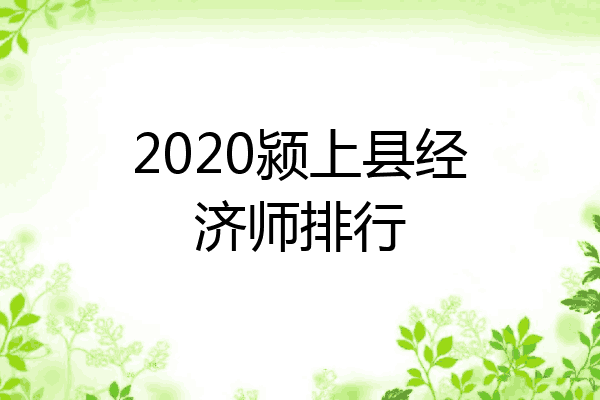 2020颍上县经济师排行