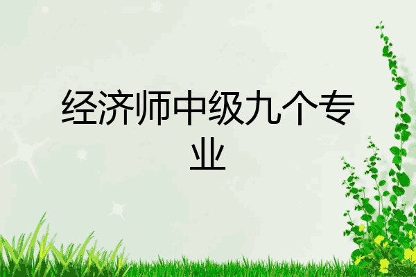 经济师中级九个专业