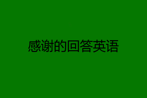 感谢的回答英语