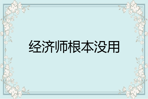 经济师根本没用