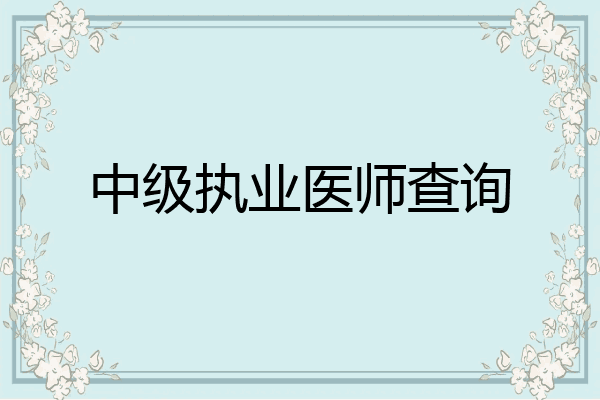 中级执业医师查询