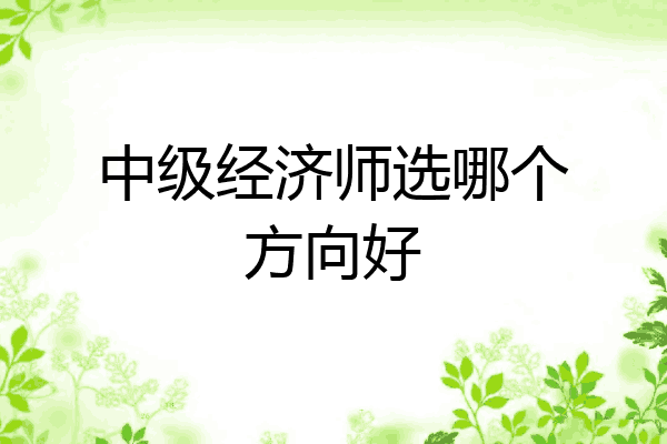 中级经济师选哪个方向好