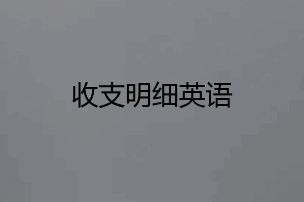 收支明细英语
