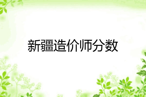 新疆造价师分数
