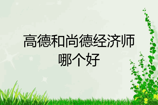 高德和尚德经济师哪个好
