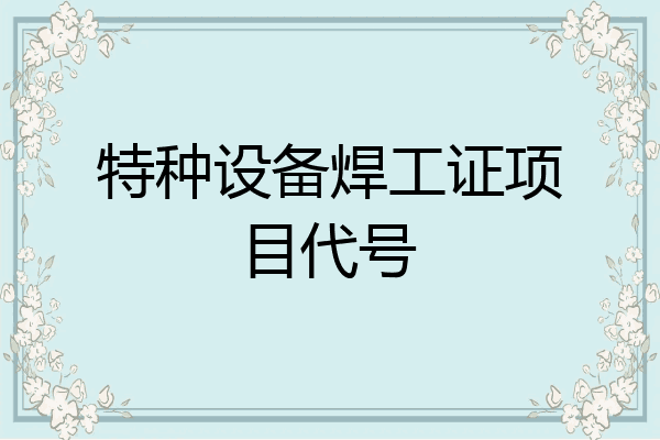 特种设备焊工证项目代号