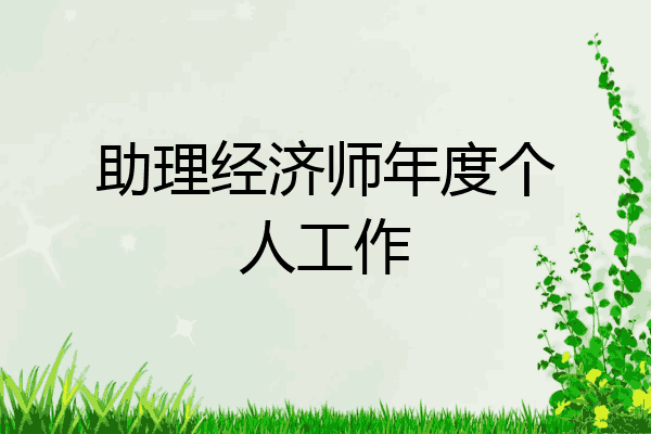 助理经济师年度个人工作