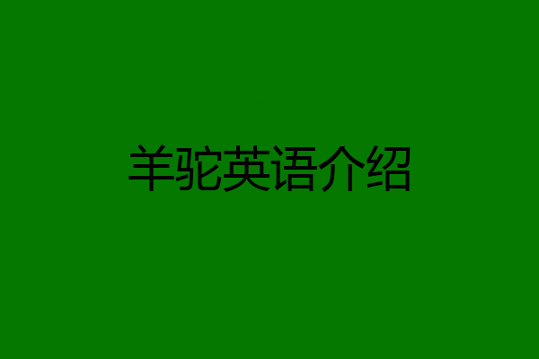 羊驼英语介绍
