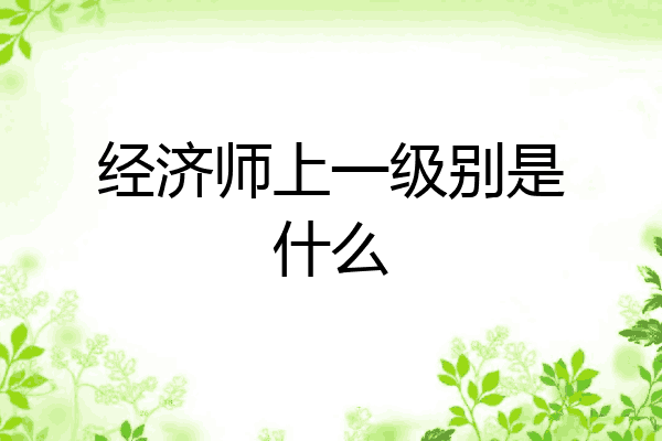 经济师上一级别是什么