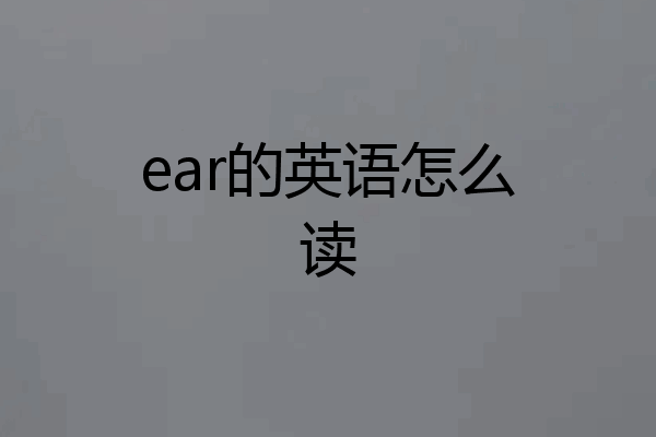 ear的英语怎么读
