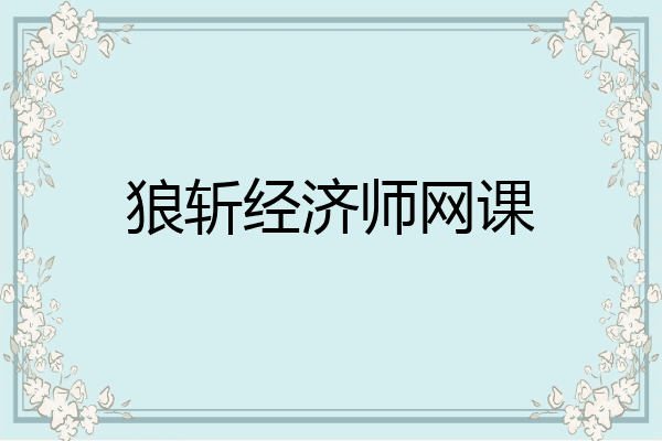 狼斩经济师网课