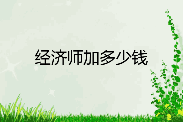 经济师加多少钱