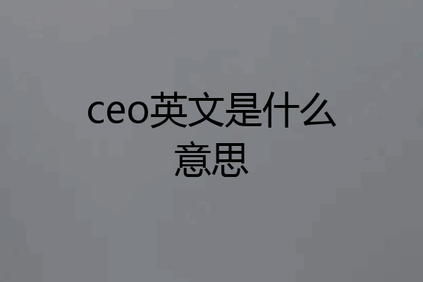 ceo英文是什么意思