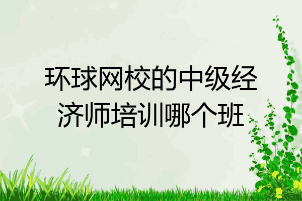 环球网校的中级经济师培训哪个班