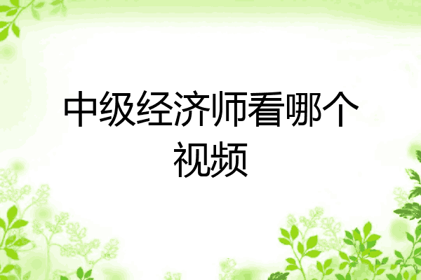 中级经济师看哪个视频