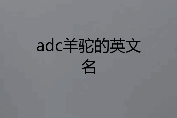 adc羊驼的英文名