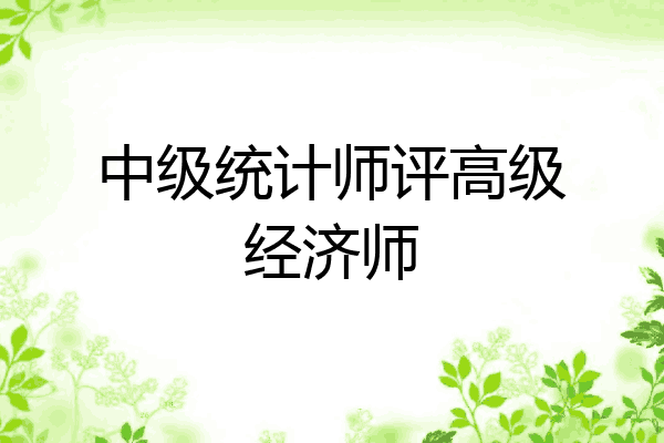 中级统计师评高级经济师