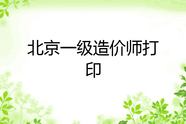 北京一级造价师打印