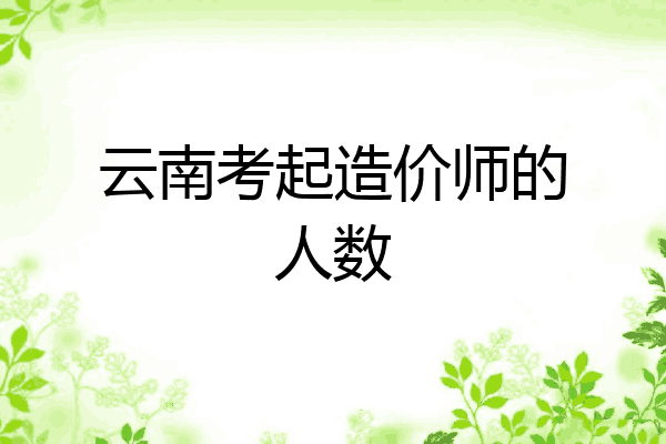云南考起造价师的人数