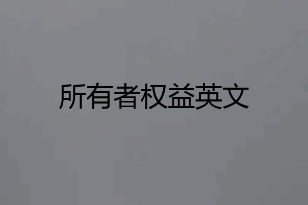 所有者权益英文