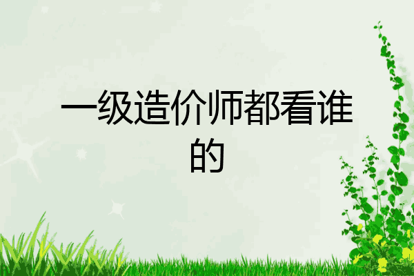 一级造价师都看谁的