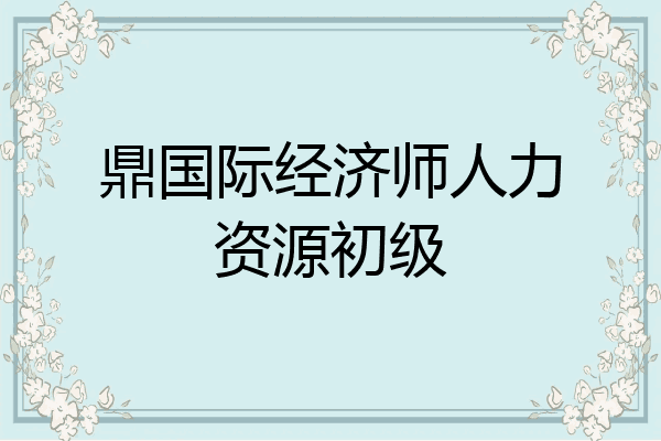 鼎国际经济师人力资源初级