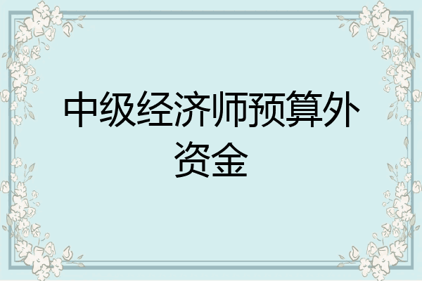 中级经济师预算外资金