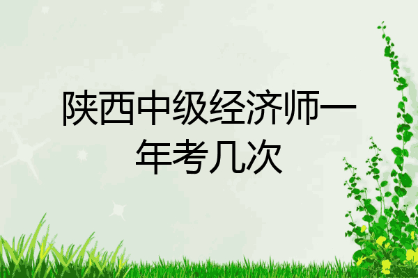 陕西中级经济师一年考几次