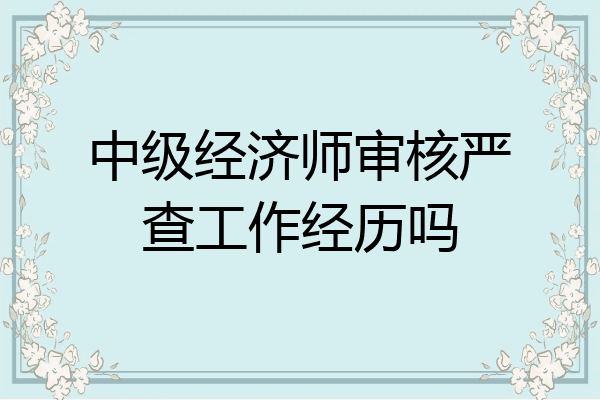 中级经济师审核严查工作经历吗