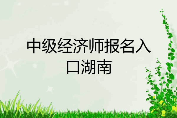 中级经济师报名入口湖南
