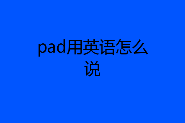 pad用英语怎么说