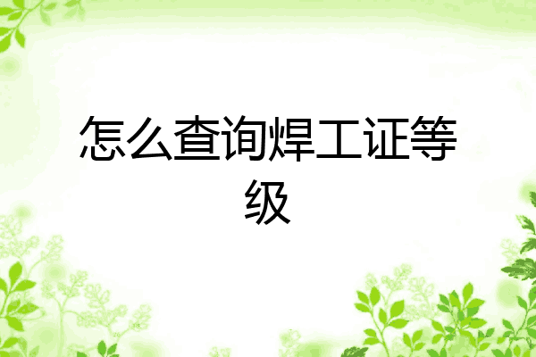 怎么查询焊工证等级