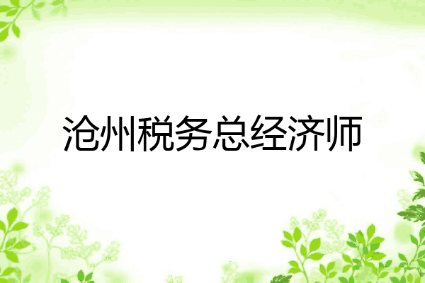 沧州税务总经济师