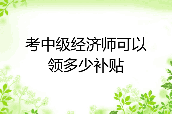 考中级经济师可以领多少补贴