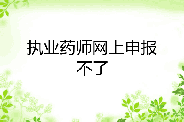 执业药师网上申报不了
