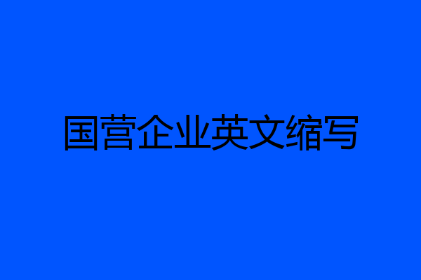 国营企业英文缩写