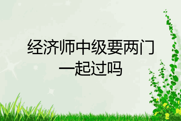 经济师中级要两门一起过吗