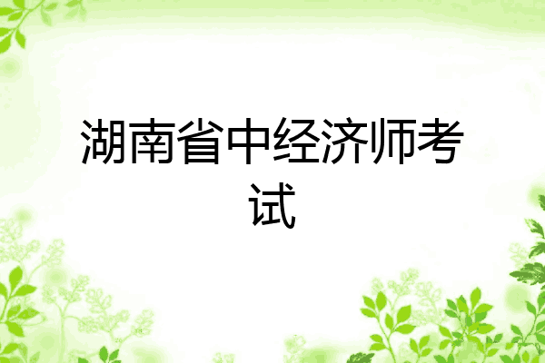 湖南省中经济师考试