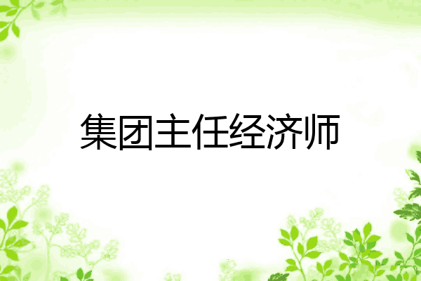 集团主任经济师