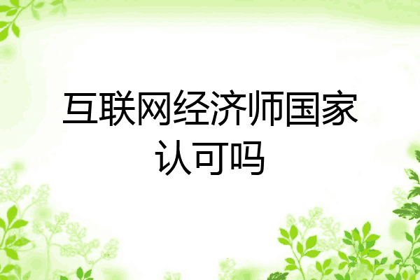 互联网经济师国家认可吗