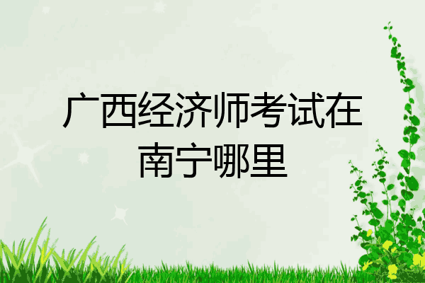 广西经济师考试在南宁哪里