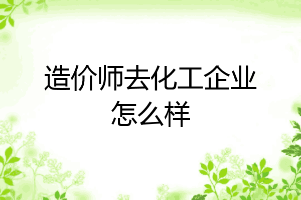 造价师去化工企业怎么样